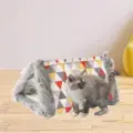 Triangle