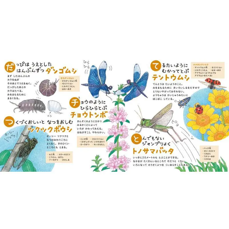 العلاقة بين الموتى والموتى ناوكو أاماميا هاكوسينشا 9784592763048 كتاب