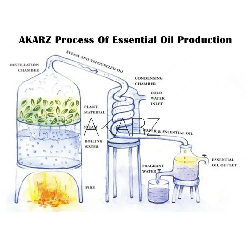 AKARZ Professional Plants Fruits Series Top Sale Essential Oil Aromatic for Aromatherapy Diffusers Face Body Skin Care Aroma Oil