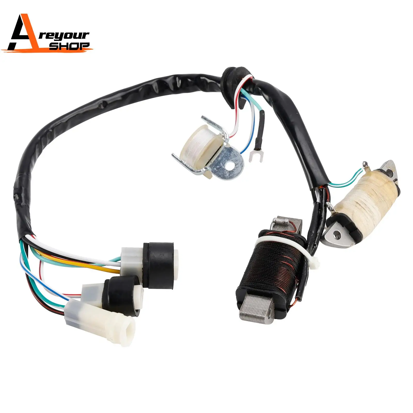 

Charging Coil & Lighting Coil for Yamaha YFM80 YFM100 Badger Champ 1989-1994