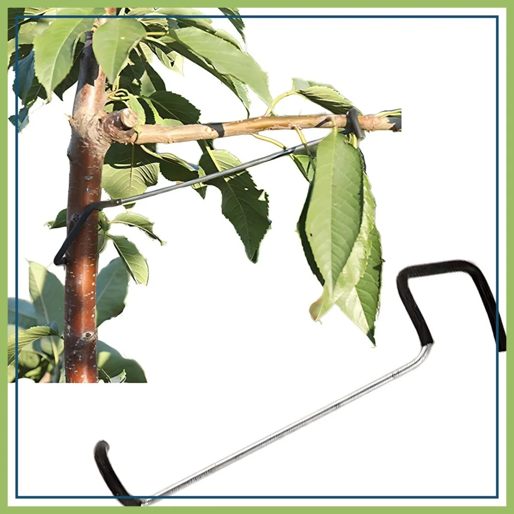

Fruit Tree Limb Spreader 20pcs, 10inch Branch Puller, Plastic Hose Wrapped Iron Wire, Tree Open Angle Tool