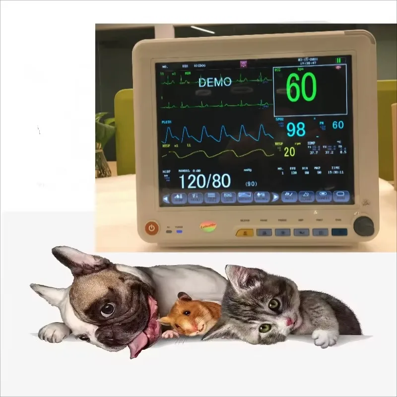 2026 Veterinary Multiparameter 12 Inch Vet Patient Monitor for Animal Care and Supplies