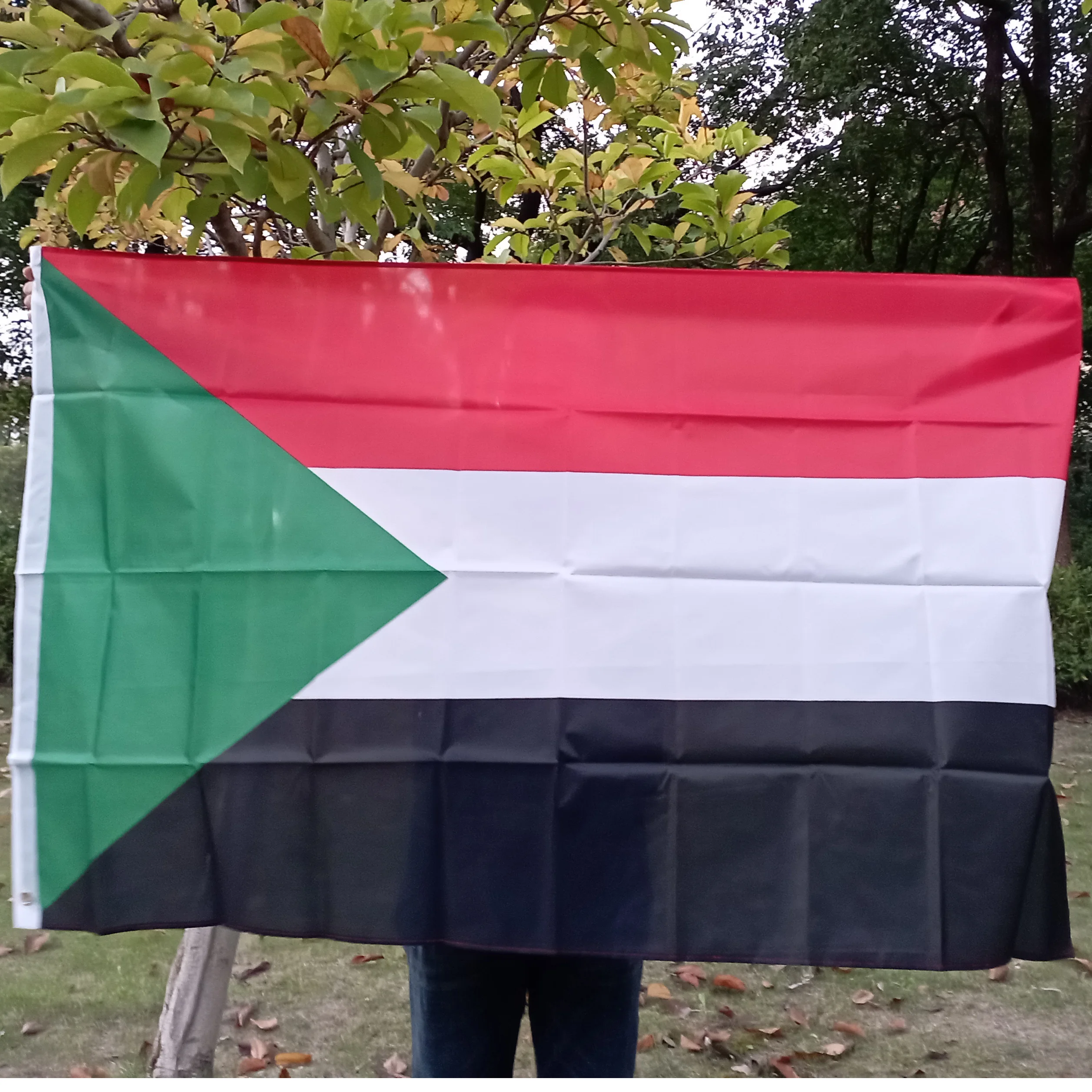 Xvggdg 150x90cm Sudan Flag Double Side Printed Polyester Hanging Sudan National Flag Sultan Banner