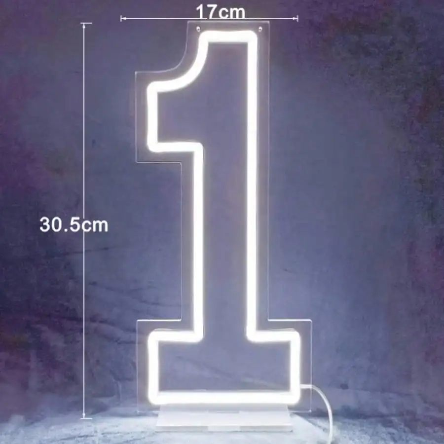 White 0-9 Single Digit LED Number Neon Sign, USB Wall Hanging Light with Dimmable Switch, Decor for Birthday, Anniversary, Wedding, Bar & Club, Gift Option view 4