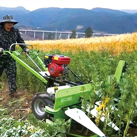 Grass Herbage Harvester Powered By Gasoline Engine