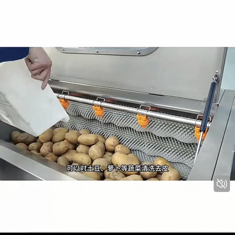 

Stainless steel carrot white radish cleaning polishing potato washing peeling machine