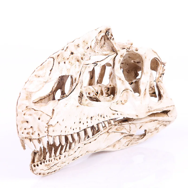 

Single Spine Dragon Resin Dinosaur Skull Animal Research Teaching Creative Home Personalized Decoration