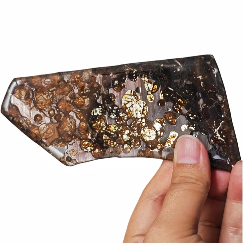 44.1g Sericho Pallastie meteorite slice Olivine Meteorite Natural Specimen Meteorite material Collection - from Kenya -QA811