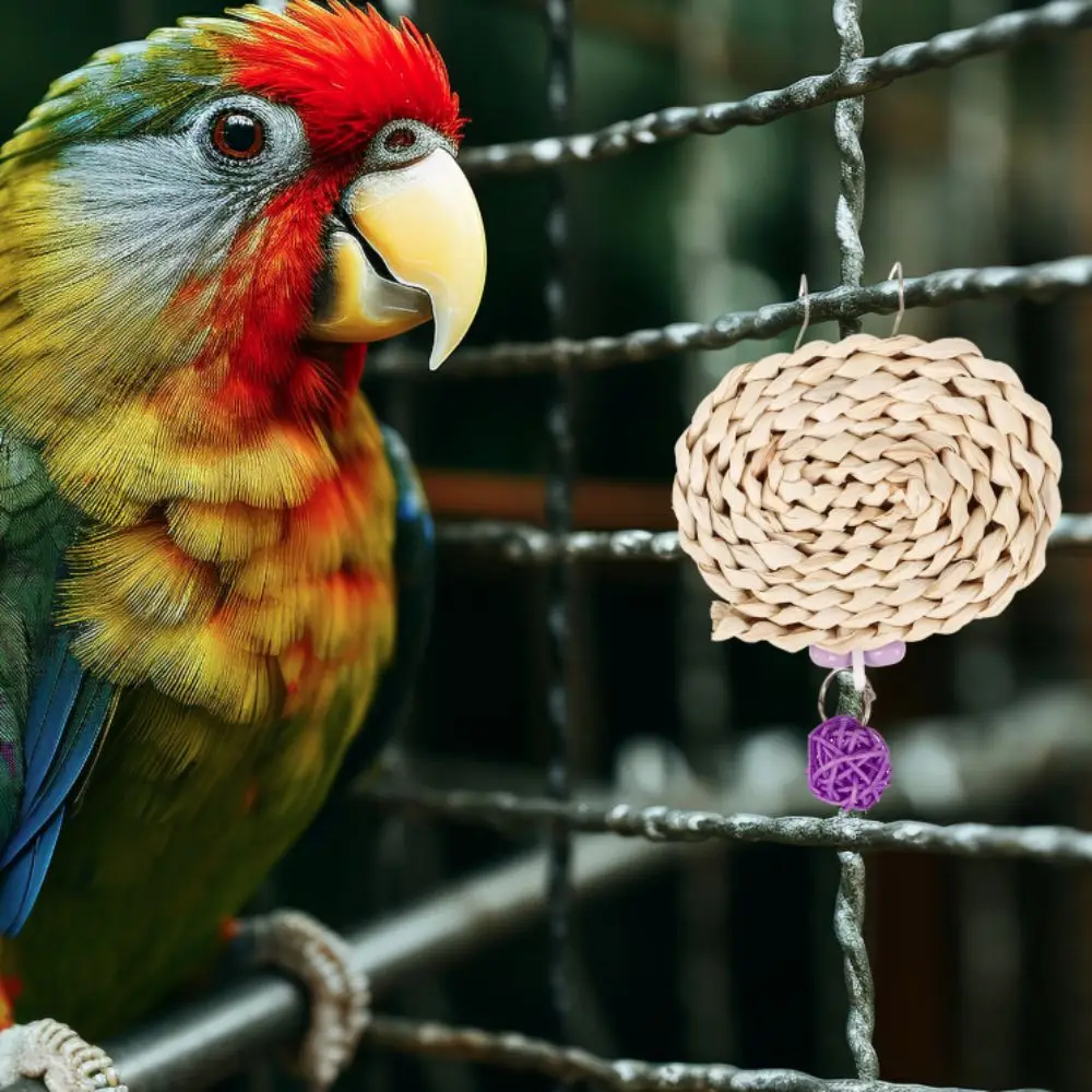 Straw Bird Chewing Toy Woven Bright Color Parrot Teething Toys with Hook Natural Cage Hanging Toy Relieve Boredom