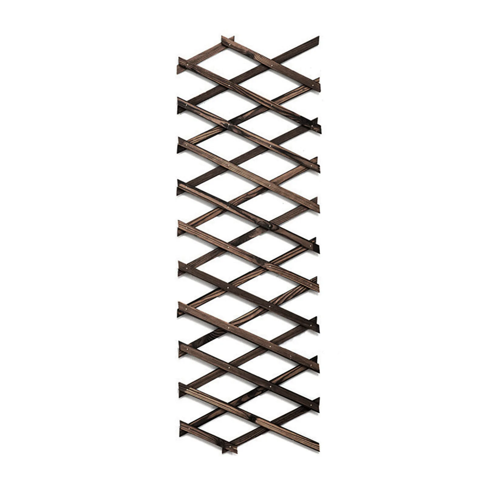 Extra Thick Expandable Plant Climb Hanging Frame Trellis Plant Support Fence Indoor Air Plant Vertical Rack Wall Decor for Garde