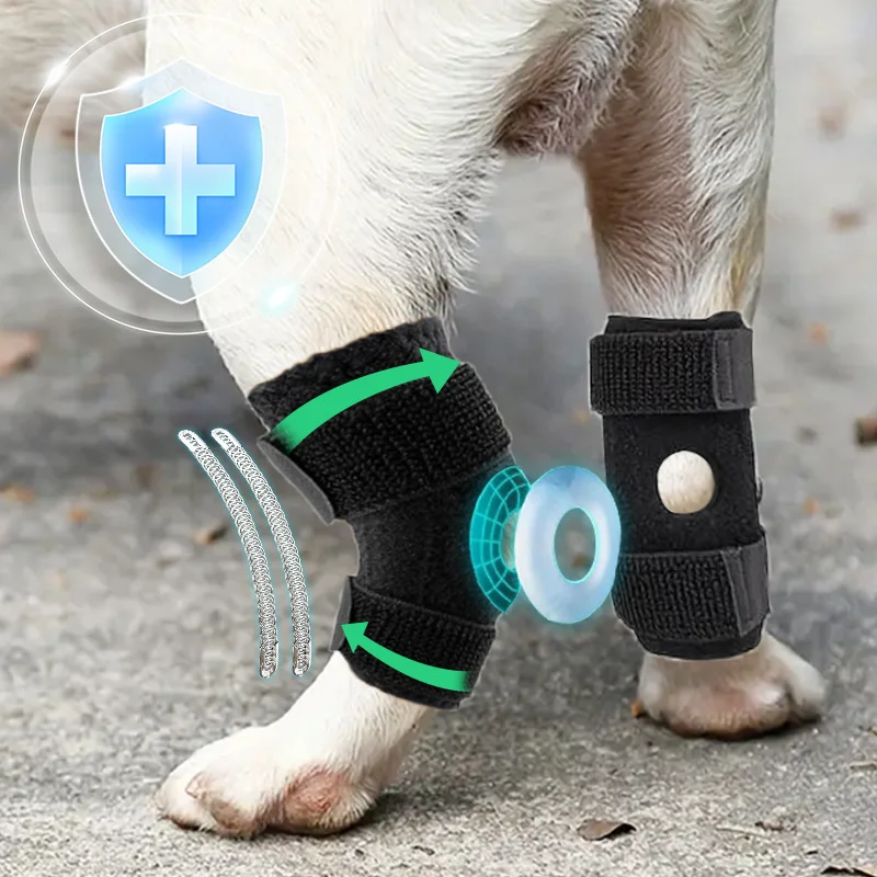 Pet Leg Joint Knee Protector ACL Ligament Tear Protection Rehabilitation Aid Cat Joint Dislocation Support