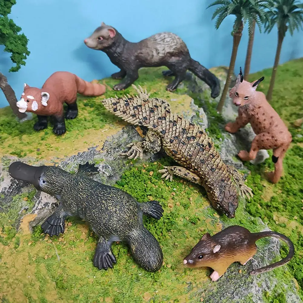 레오파드 고양이 팬더 오리너구리 흰 족제비, 에제르니아 데프레사 모델, 어린이용 미니어처 피규어, 현실적인 피규어 장난감 세트