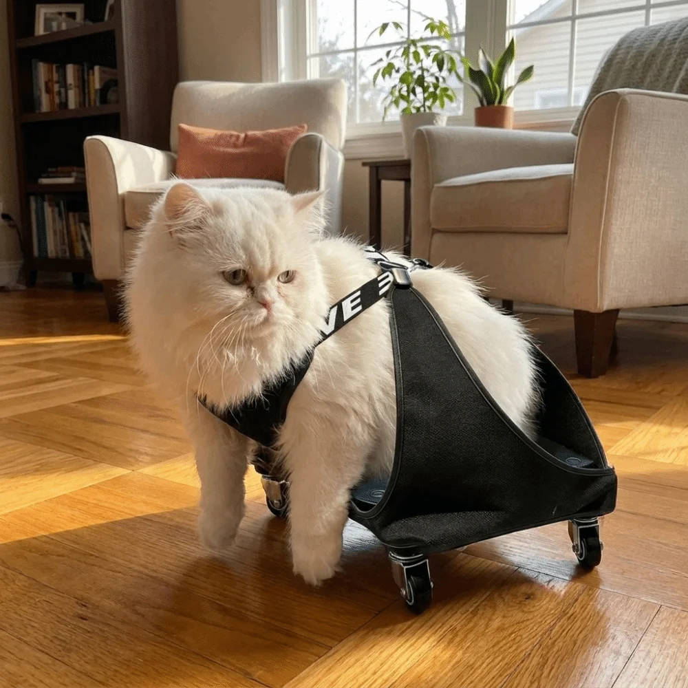 Adjustable Pet Towing Bag Pulley Car Breathable Protective Cat Walking Wheelchair Professional Dog Hind Leg Drag Bag
