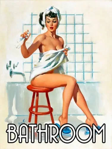 Bathroom pin up, retro vintage style metal sign/plaque shed man cave-Aluminum