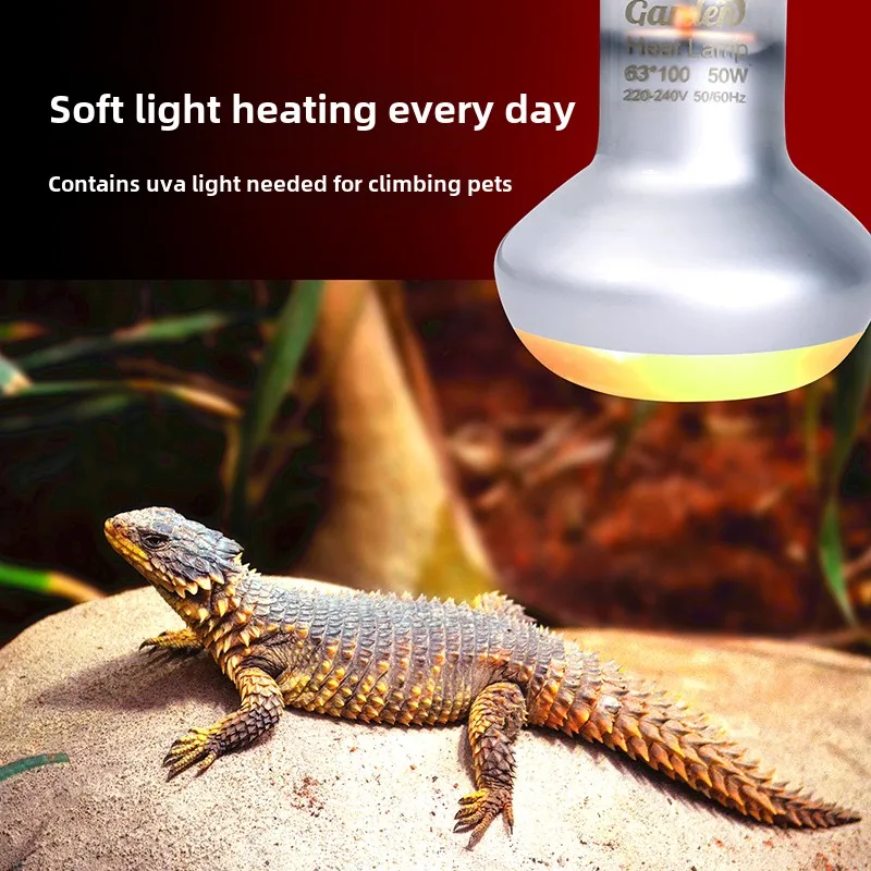 Climbing Pet Heating Lamp Lizard Chameleon Fish Tank Tortoise Water Sun Back Lamp