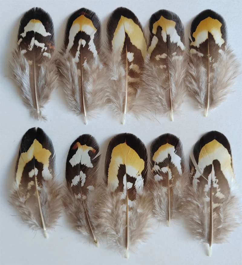 50 stks/partij Natuurlijke Bruin & Geel REEVES VENERY PAUW VLEUGELVEREN, Losse Reeves Quill Veren, pluimen voor knutselen