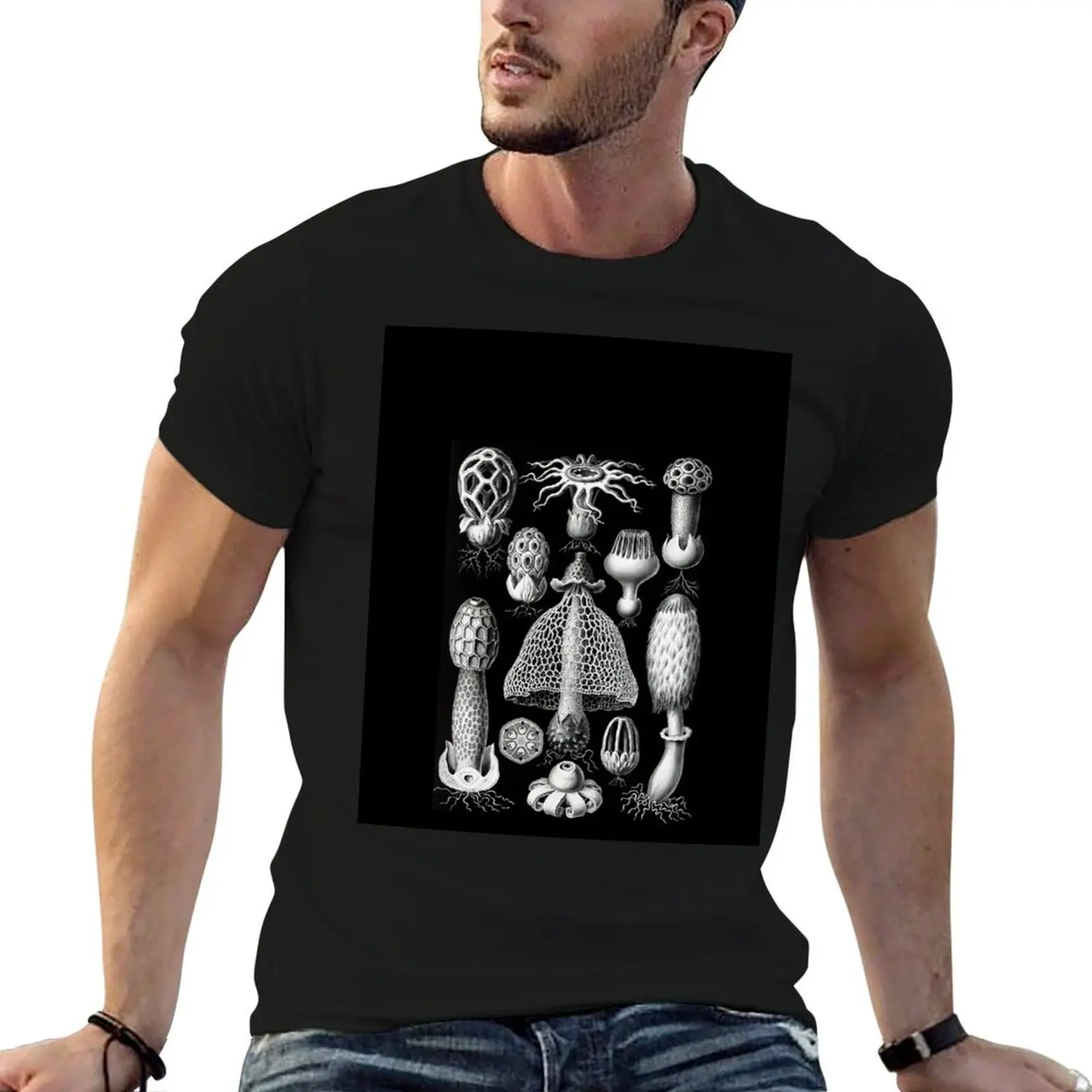 

Basimycetes–Schwammpilze -Illustration stinkhorn mushrooms (1904) by Ernst Haeckel T-Shirt funny t shirts cotton T-Shirt