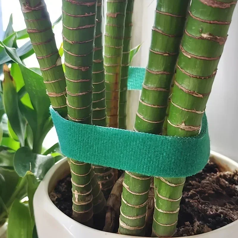 3/1Rolls Nylon Plant Ties Resealable Cable Ties Self Adhesive Plant Fastener Tape for Support Grape Vines Tomato Garden Supplies