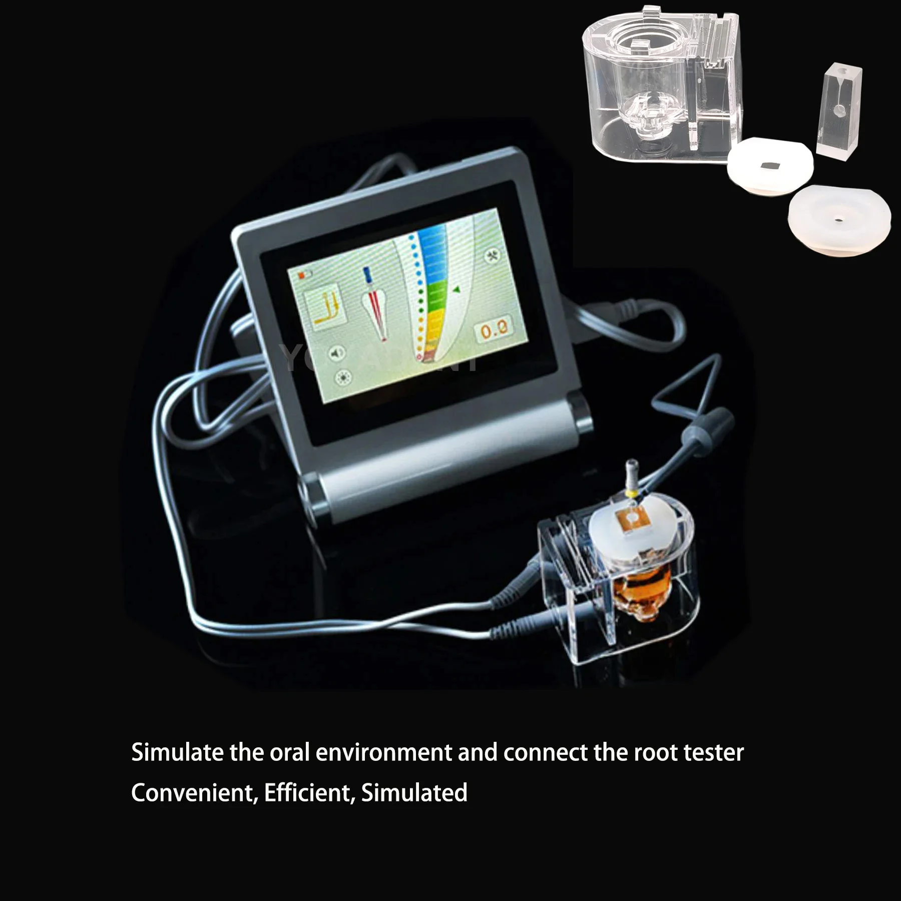 Fit All Kinds Root Testers Dental Teeth Root Canal Training Model Simulation Oral Root Canal Treatment Practice Instrument