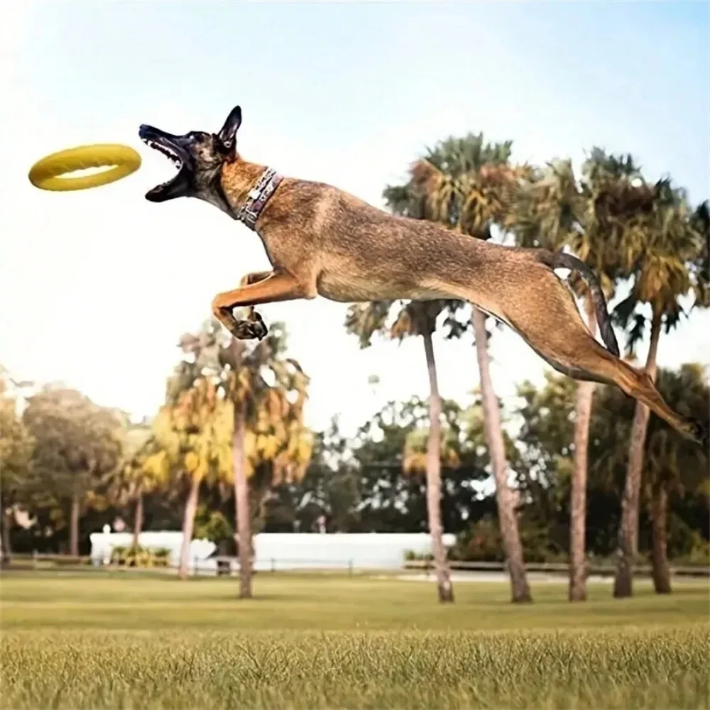 Dog Ring Toys Indestructible Chewing Flying Floating Training Tools Fetch for Small Medium Large Dogs Throwing Catching Flying image 2