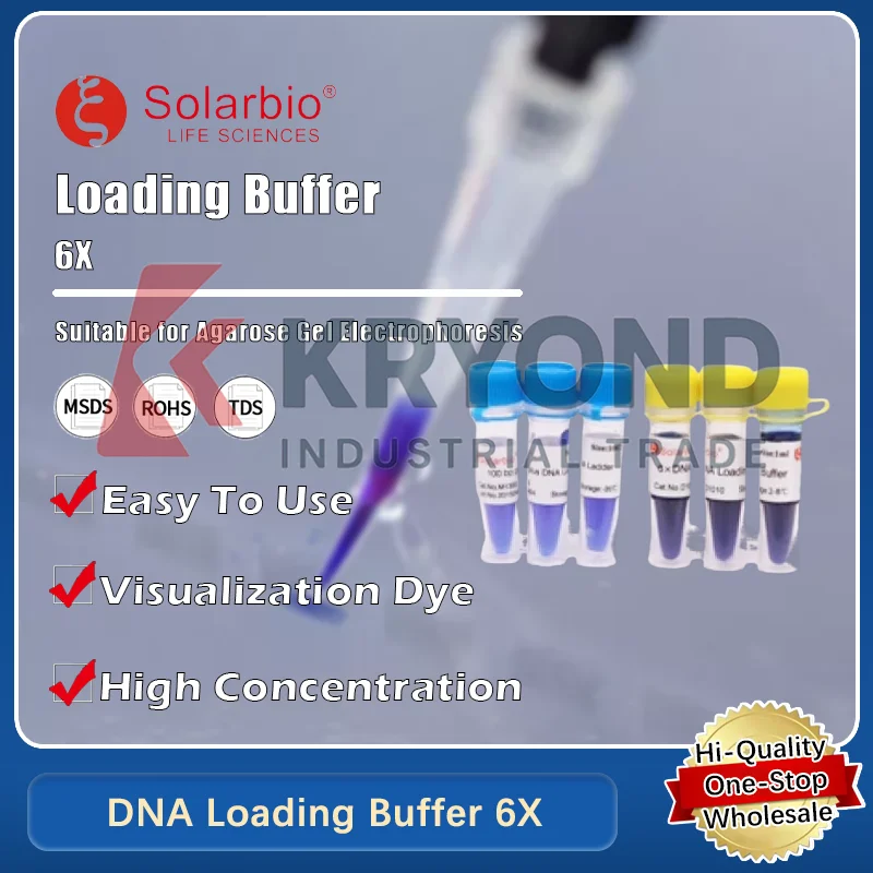 DNA Loading Buffer: A Comprehensive Review and Practical Guide for Lab Professionals