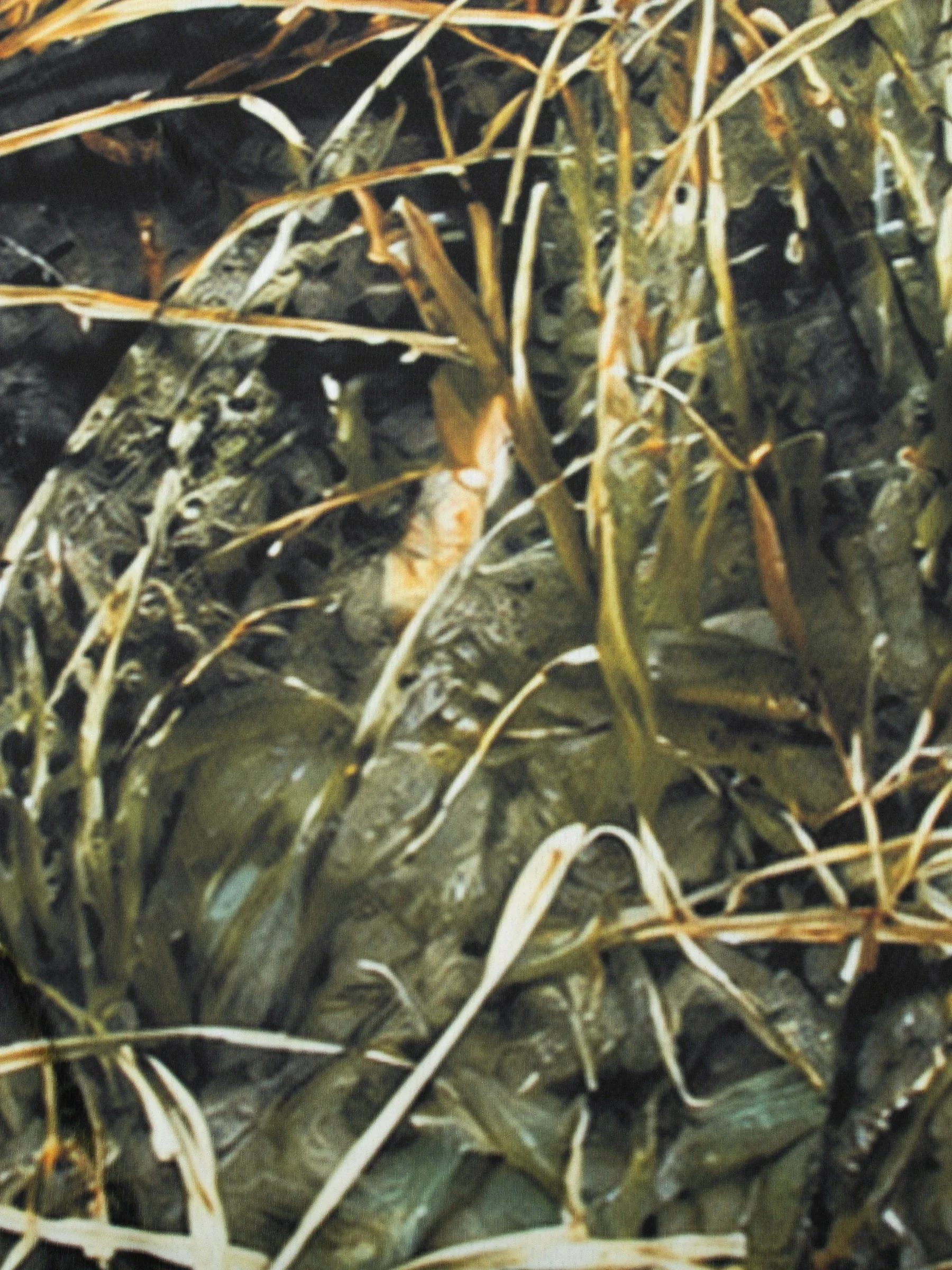 Herren Sommer UPF50+ Angel-Hoodie mit Gesichtsmaske, Reed Camo Bass-Print, schnelltrocknend, atmungsaktiv, leicht, langärmeliges Angelhemd – Detail 10