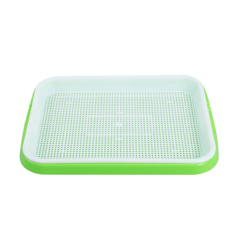 

Seedling Tray Grid Design Sprout Growing Green Beans Fruit and Vegetable Storage