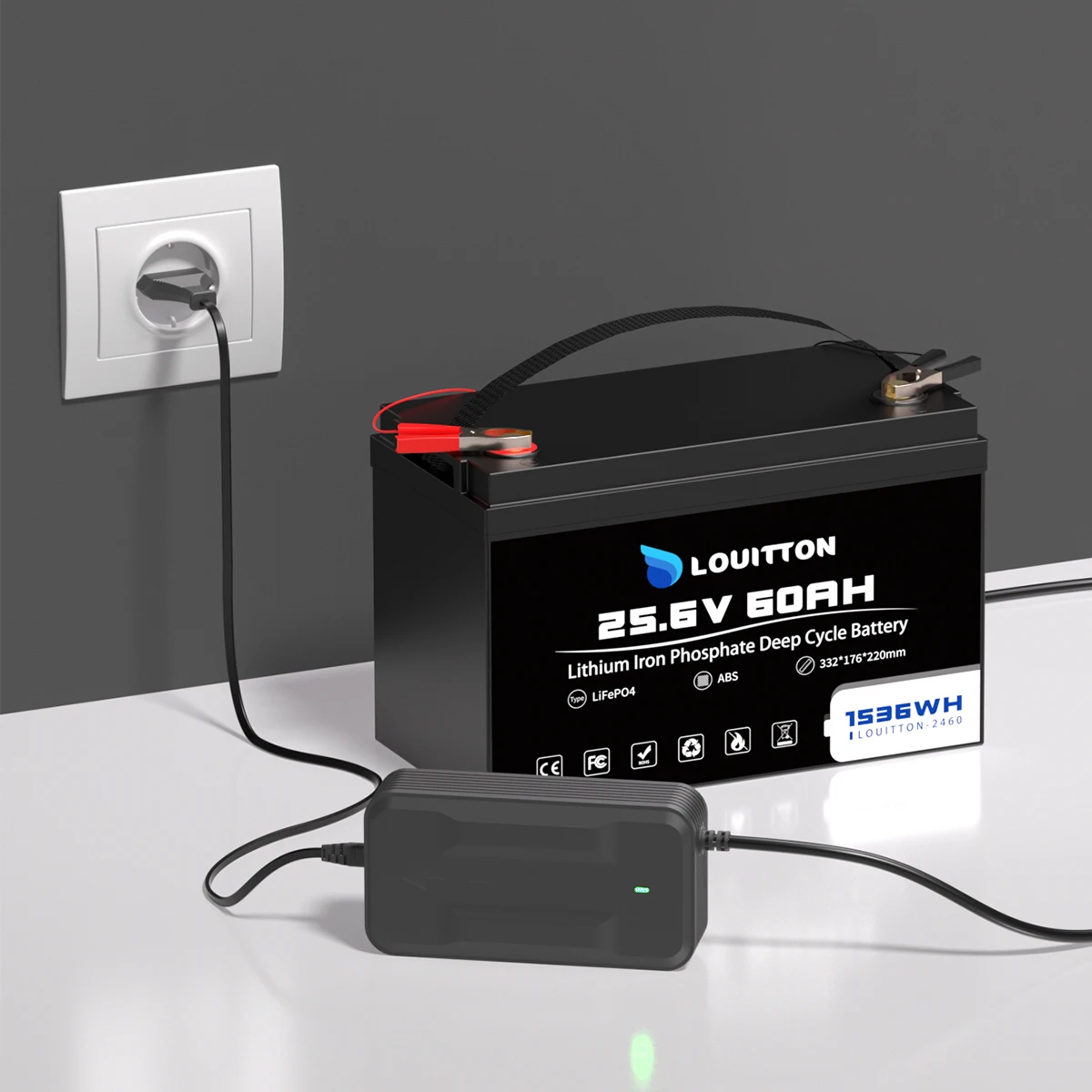 24V 100Ah Lifepo4 Battery Pack Rechargeable Solar Battery 24V 60AH With BMS For RV Boat Motor Outdoor Inverter