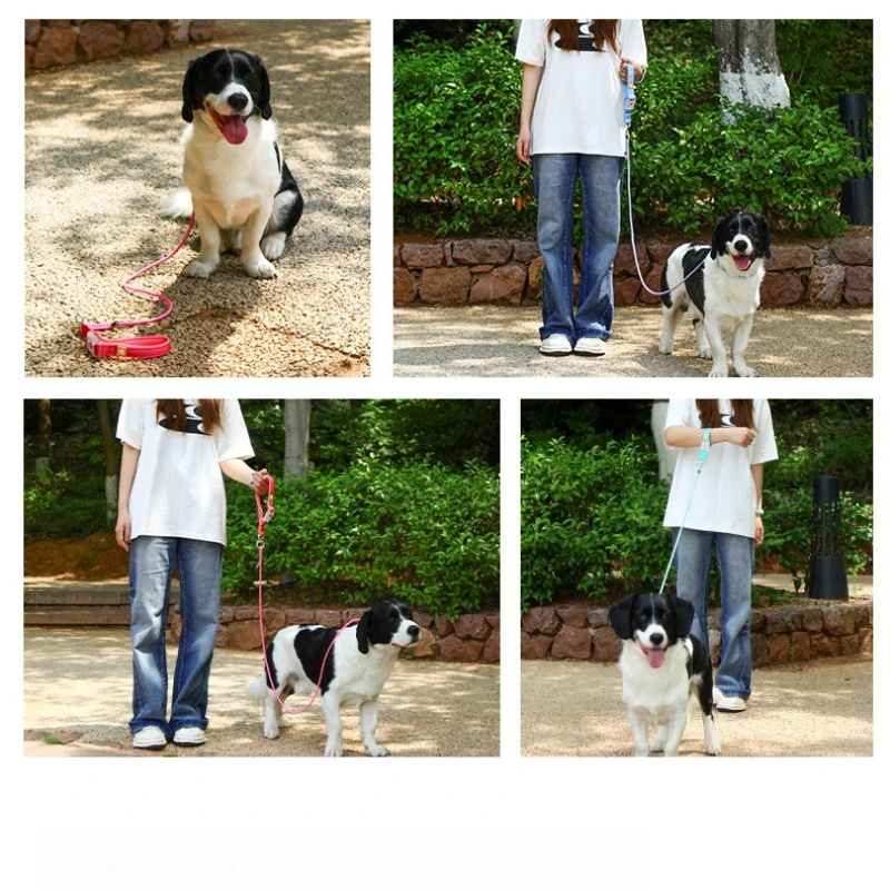 Professional Dog Training Leash P Chain Rope for Small Medium Large Dogs Anti Tangle Pet Collar