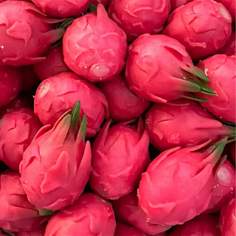 New Dragon Fruit Crunchy Moldable Stress Ball Squeeze Toy Squishy Fidget Toy Round Blocks Filled Decompression Sensory Toy Gifts