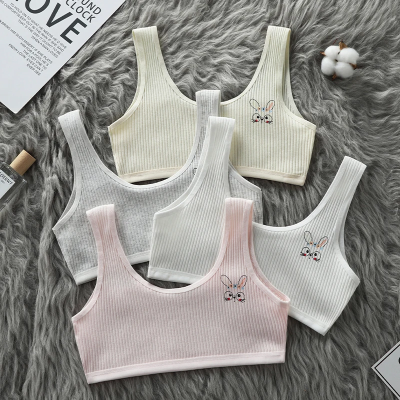Girls' underwear development period, primary school students, cotton, 12 years old, 13 years old, junior high school students, g