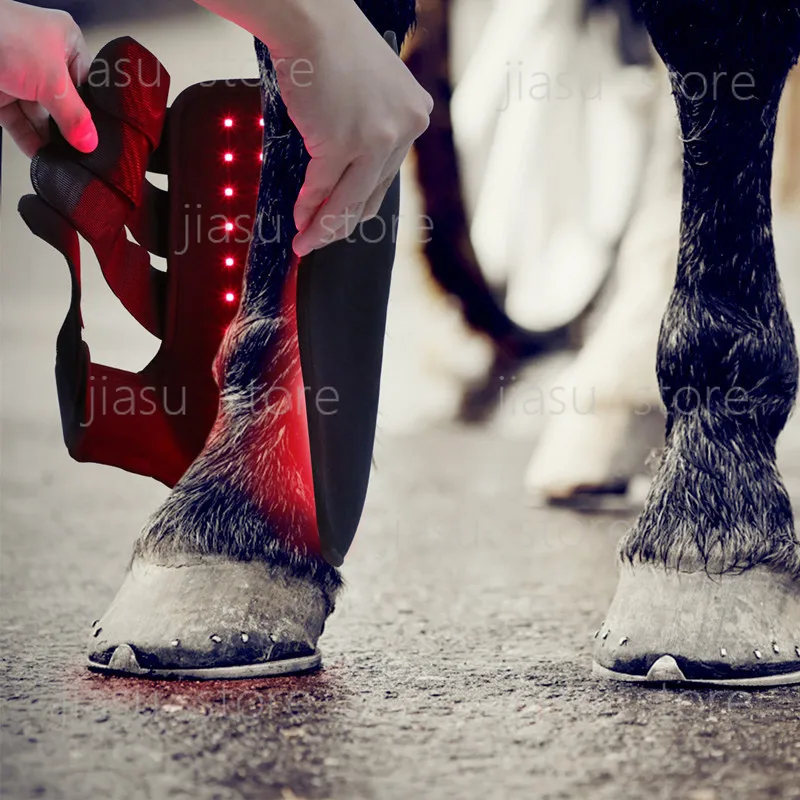 

Portable Red Infrared Light Therapy for Equine Leg Muscle Repair Wound Healing Pet Physiotherapy Equipment