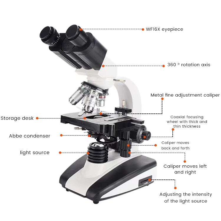 High Peormance Popular LCD Digital Biological Microscope Cheap Price Microscope