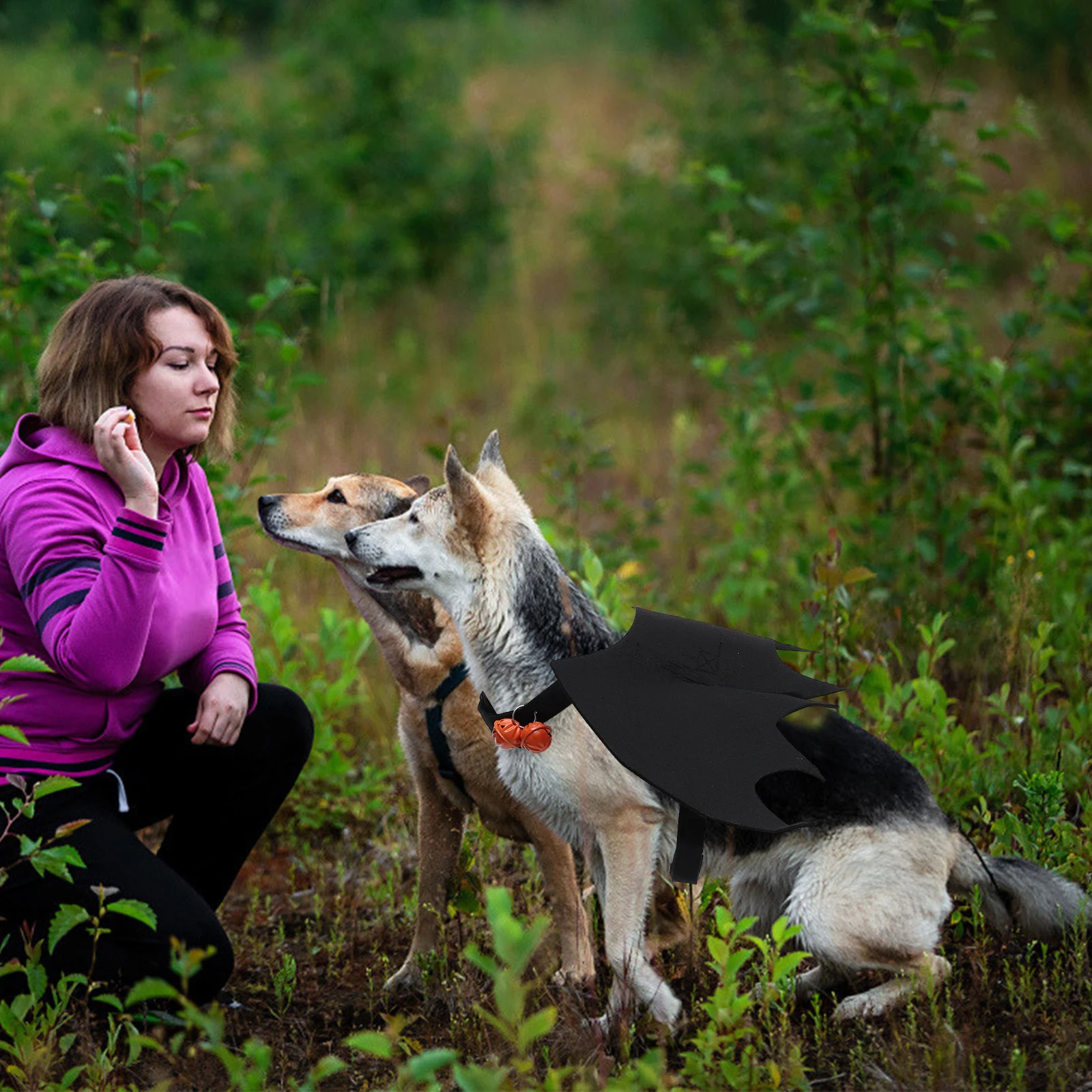 

1Pcs Adorable Bat Wings Pet Costume for Cats Halloween Party Decoration Lightweight Cloth Wing Accessory Adjustable Comfortable