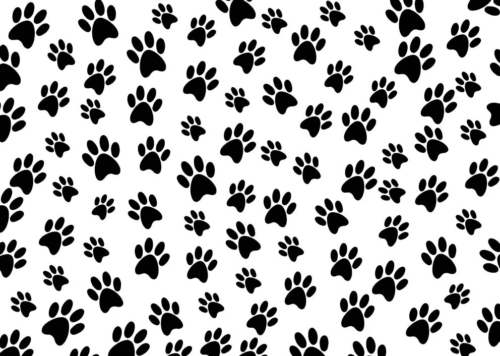 Chú Chó Paw Chụp Ảnh Phông Nền Cho Bé Sinh Nhật Hình Nền Tùy Chỉnh Biểu Ngữ Vinyl Chụp Hình Studio Đạo Cụ