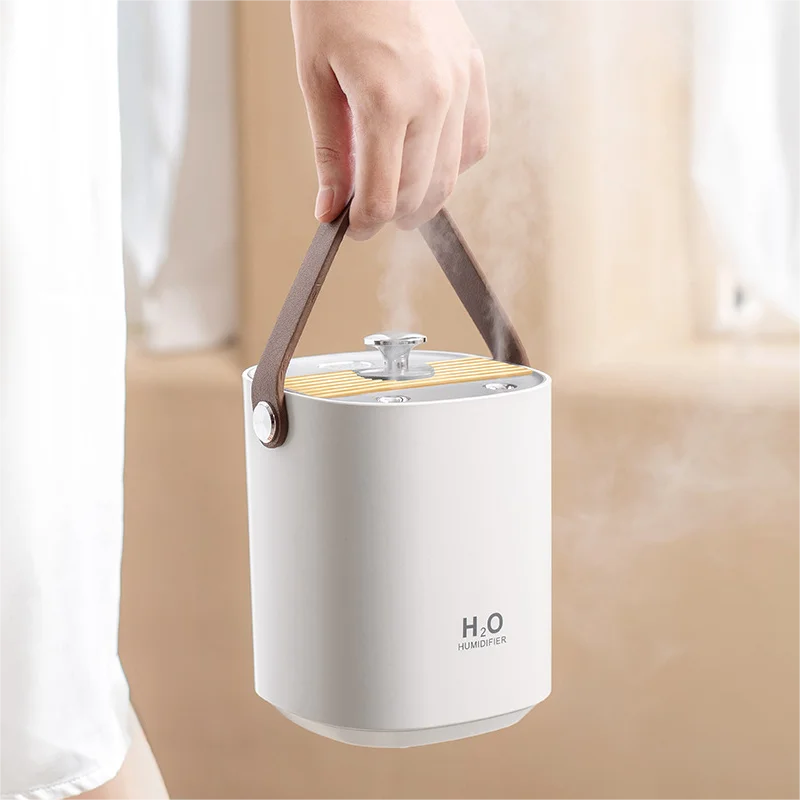 2023 new design 1.2L carrying handle double spray H2O Humidifier USB rechargeable Fashion Air Humidifiers