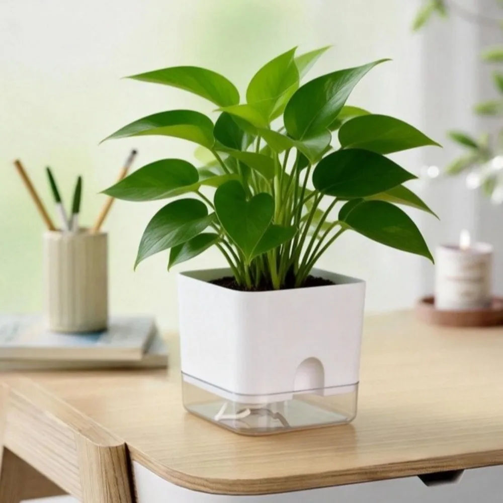 Simple Square Shape Self Watering Plant Pots Drainage Hole 2-Layer Design Plant Pots Plastic