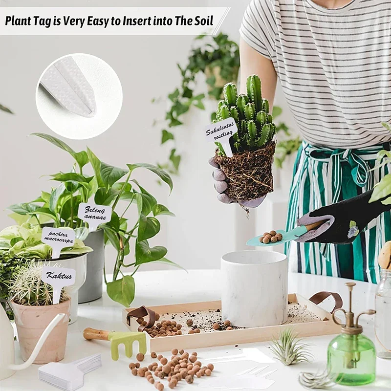50 шт. Т-образные маркеры для этикеток для растений, водонепроницаемые ПВХ, садовые растения, классификация, сортировка, знак, бирки, маркеры для детских растений, этикетка