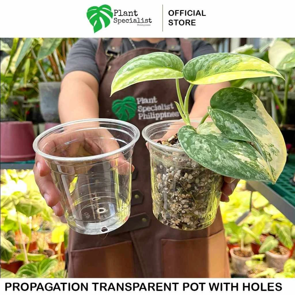 

Reinforced Clear Nursery Pots with Drainage Hole,Transparent Variety Pack Plastic Plant Pot Seedling Planter Seed Starter Flower