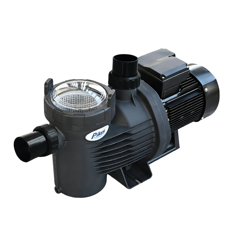 High Quality Premium Swimming Pool Circulating Water Pump Accessory Overloading Protected By Pump