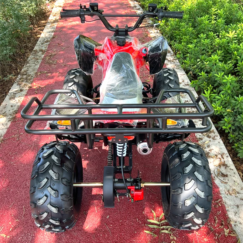 Hot Sale New 125cc Automatic Chain Drive 4-Stroke CE Certified High Quality ATV for Adults