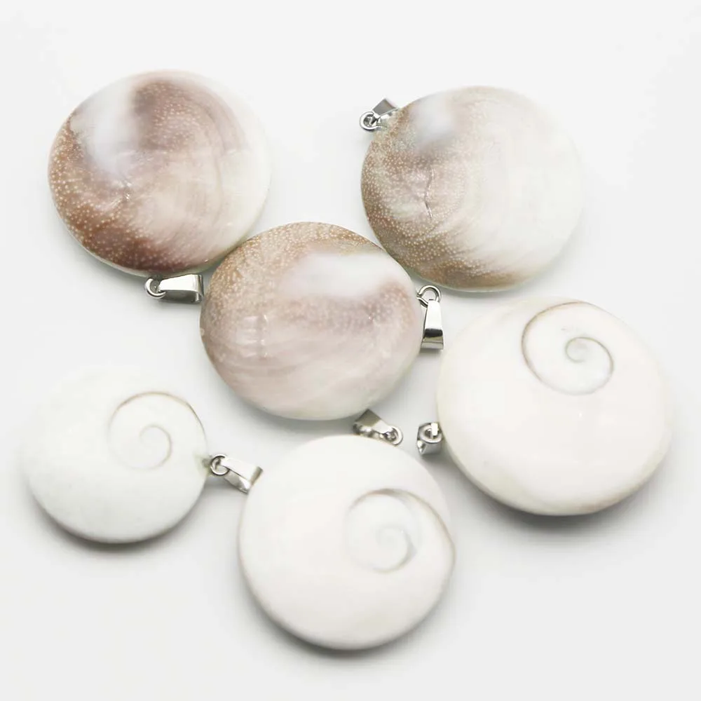 Natural Semiprecious Stone Sun Shell Raw Stone Small Sun Shell Hard Shell Conch Shell Pendant Home Decoration 8PCS Free Shipping