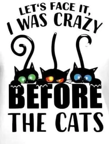 Lets Face It I Was Crazy Before The Cats Retro Metal Tin Sign Vintage Aluminum Sign for Home Coffee Wall Decor 8x12 Inch sign