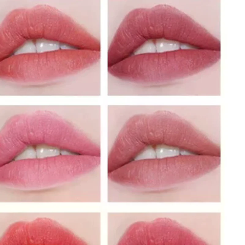 Set di 1 matita per labbra opaca e rossetto liquido Rossetto a lunga durata da donna Impermeabile 24 ore su 24