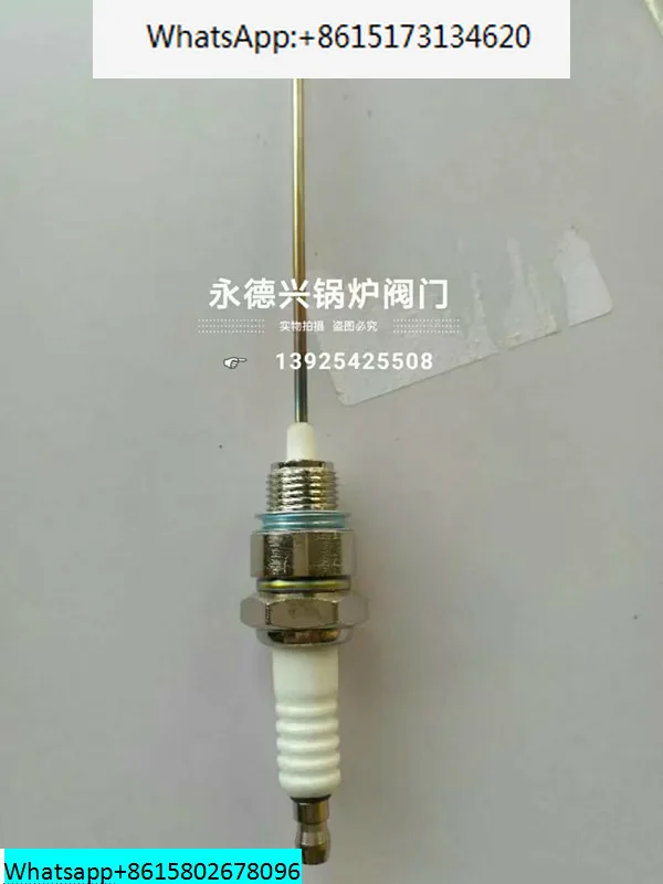 

5 pieces Boiler water level electrode probe Steam water level electrode probe Water level sensing probe High temperature probe