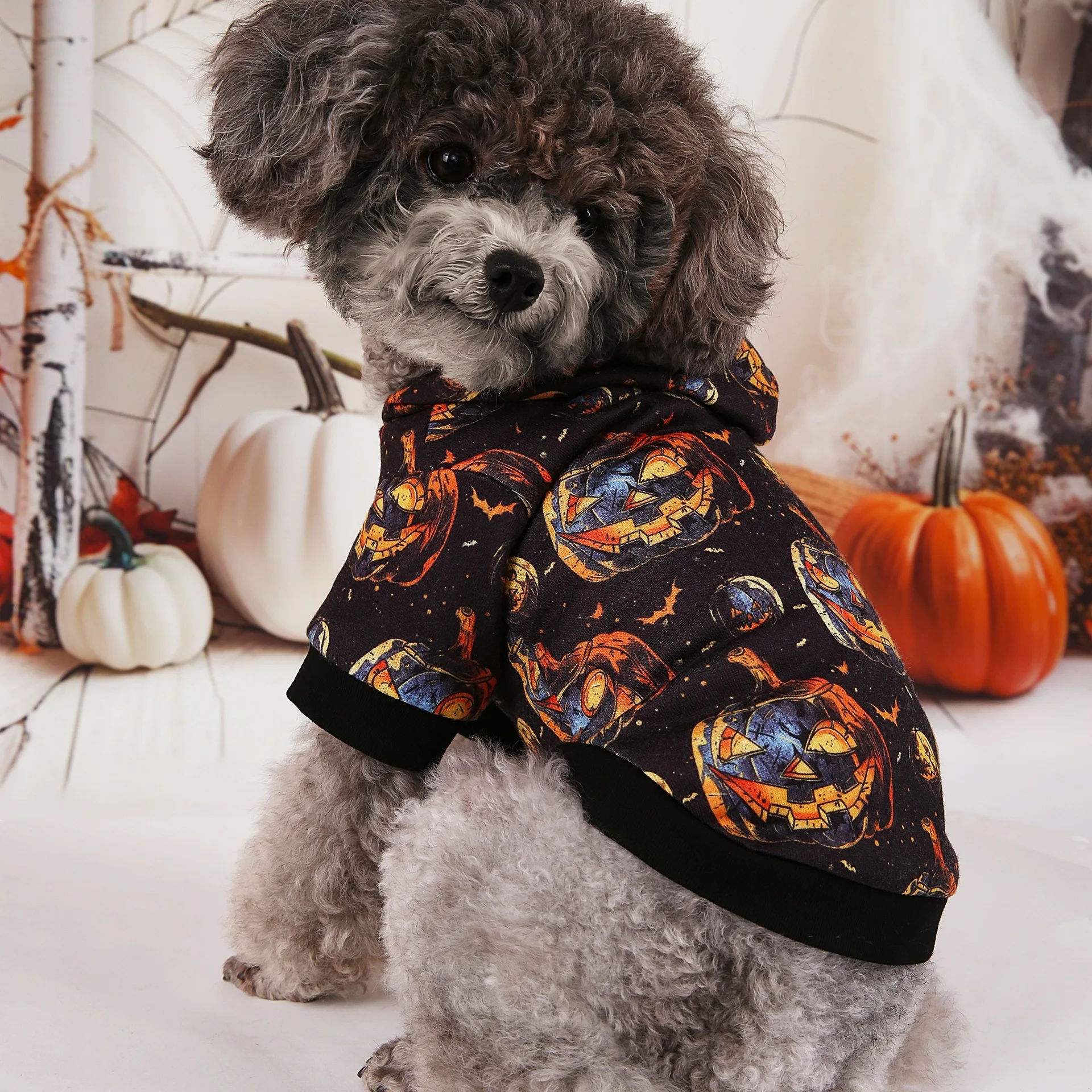 

2025 Fall/Winter Amazon Dog Halloween Pumpkin Wizard Cosplay Hoodie Cat Dog Halloween Party Pet Clothes