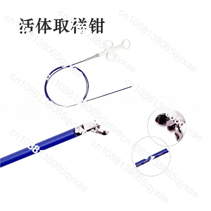 Biopsy forceps Endoscope Nasogastric endoscopy Bladder bronchoscopy Disposable live sampling forceps