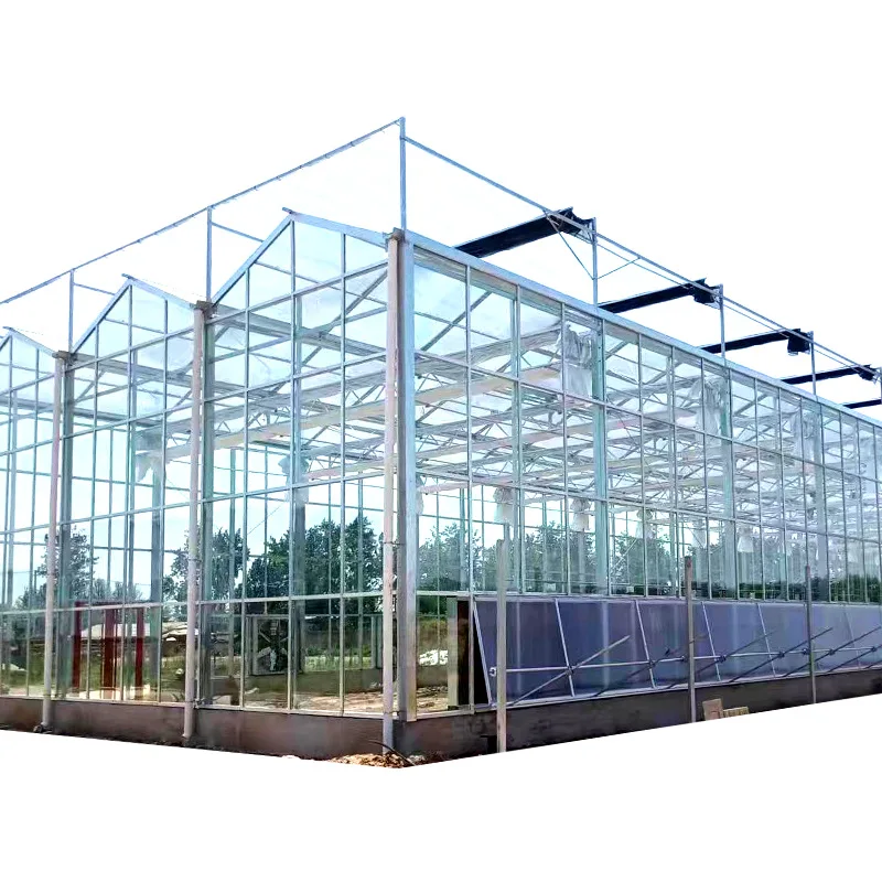 إطار دفيئة زجاجي 2025، دفيئة ذكية، دفيئة تظليل، دفيئة خضروات وزهور