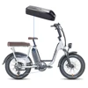 電動自転車交換用バッテリー,48V, 14Ah,672wh,500W,radrunner,radwagon,Power, City, 4 Plus 6