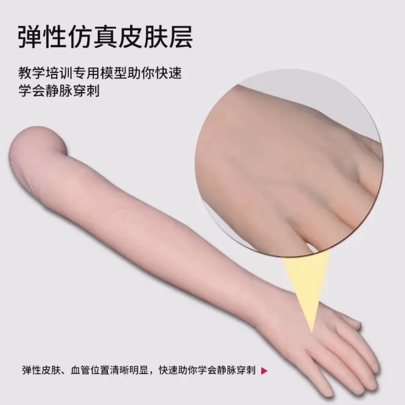 Teaching training model KS/H2 for blood drawing and needle practice model